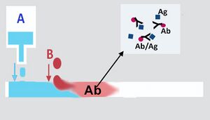 Image from section "How RDT tests work"